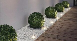 Backyard Decorating Ideas