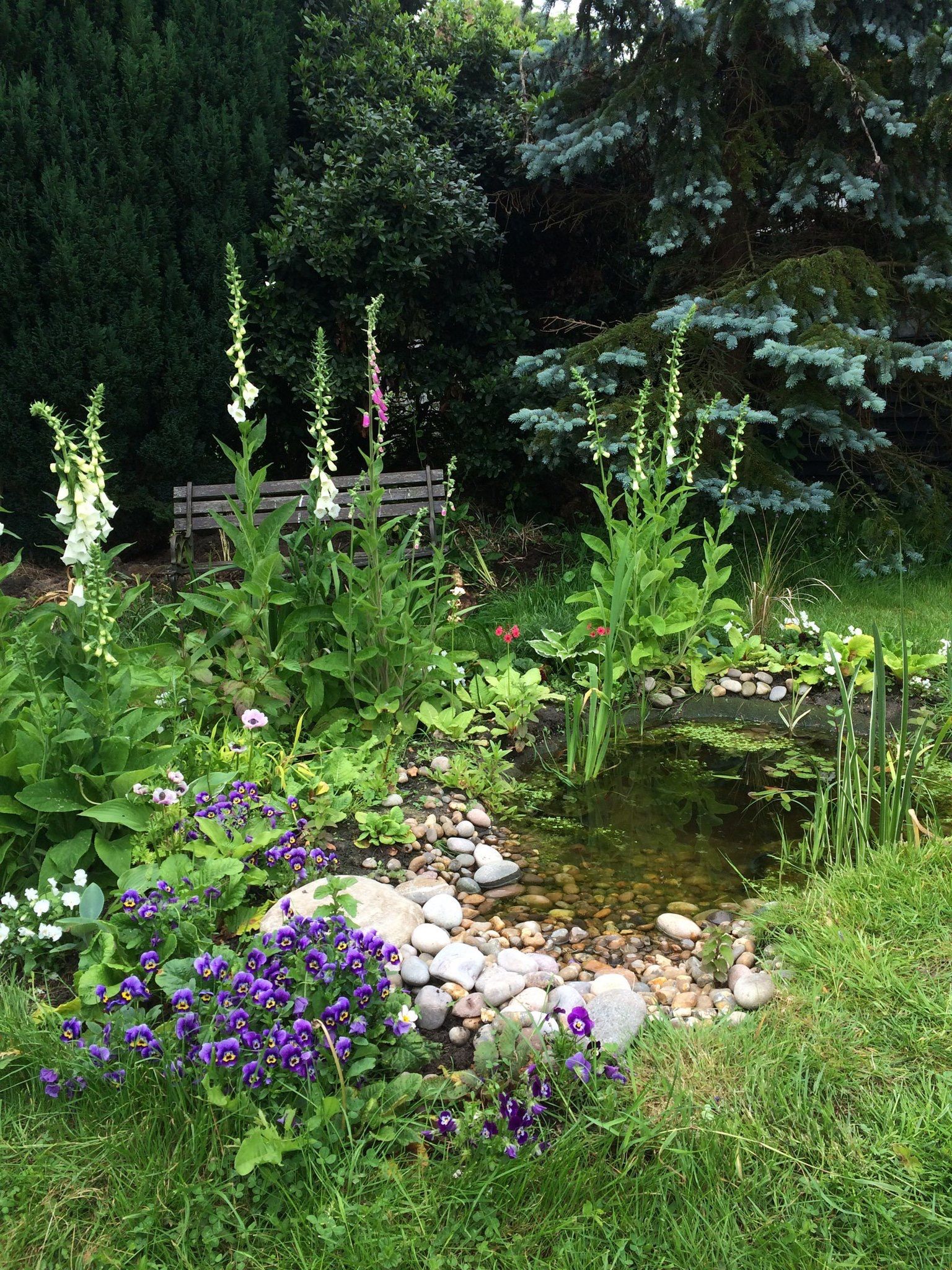 Backyard Pond Ideas Transform Your Outdoor Space with Stunning Pond Designs