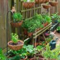 Plant Stands Outdoor