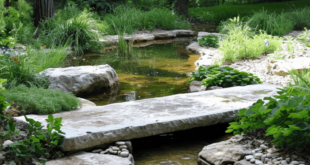 Backyard Pond Ideas