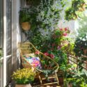 Balcony Flowers