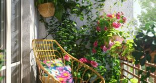 Balcony Flowers