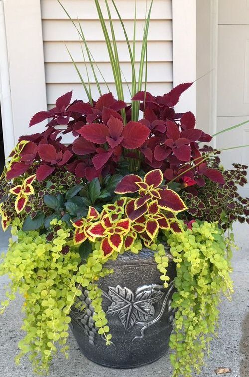 Potted Flowers For Patio Transform Your Outdoor Space with Beautiful Floral Arrangements for Your Patio