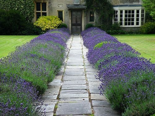 Porch Planter Ideas Creative Ways to Decorate Your Porch with Plants and Flowers