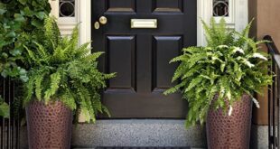 Tall Planters Front Door