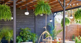 Backyard Decorating Ideas