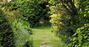 Backyard Walkway