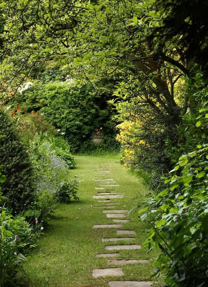 Backyard Walkway Creating a Beautiful Path in Your Outdoor Space