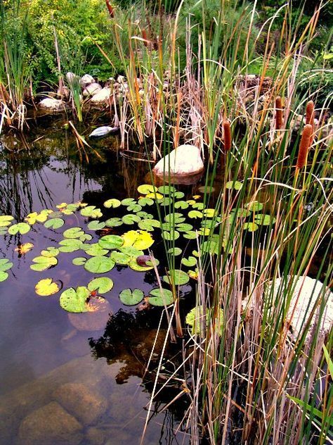 Backyard Fountain Ideas Transform Your Outdoor Space with Creative Fountain Designs