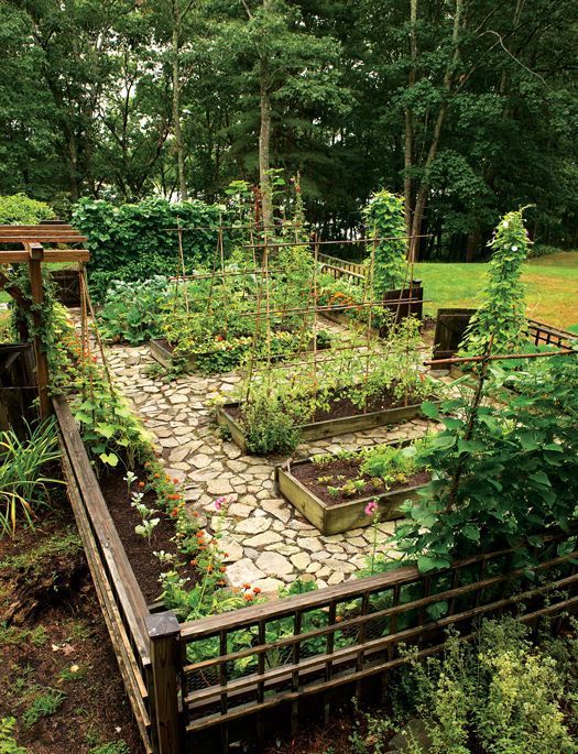 Backyard Garden Secrets to Successful Gardening