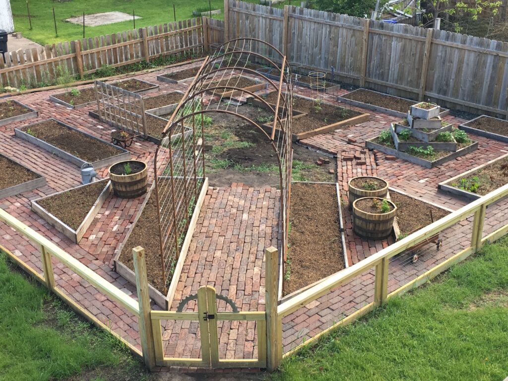 Backyard Garden