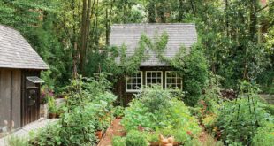 Backyard Garden