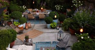 Backyard Ideas