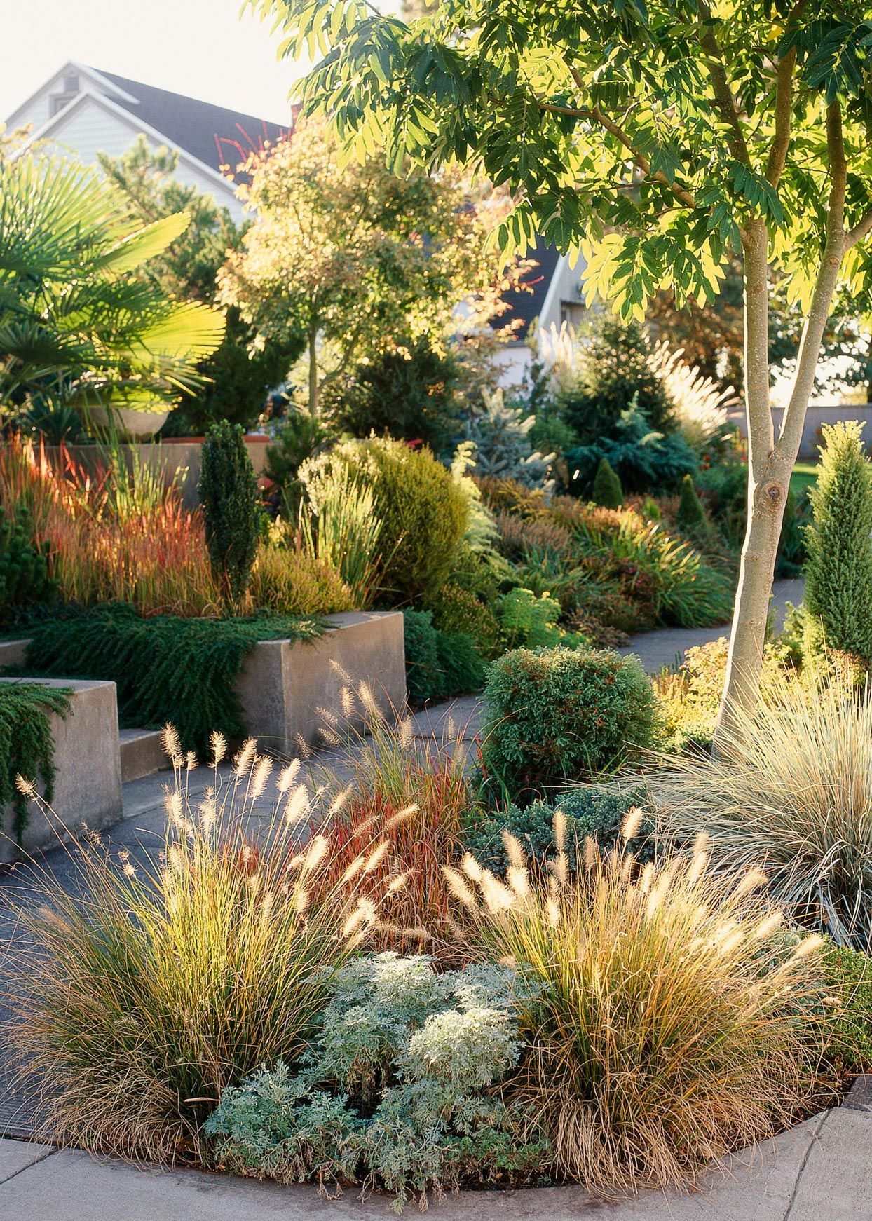 Backyard Landscaping Enhance Your Outdoor Space with Creative Landscaping Ideas