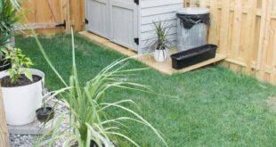 Backyard Landscaping Ideas