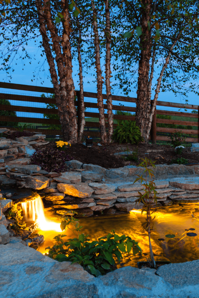 Backyard Lighting Ideas