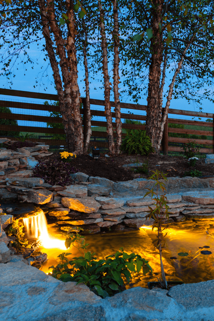 Backyard Lighting Ideas for Creating a Cozy Outdoor Retreat