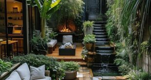 Backyard Patio Designs Layout