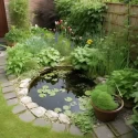 Backyard Pond Ideas