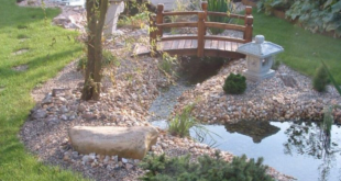 Backyard Pond Ideas