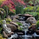 Backyard Pond Ideas