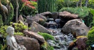 Backyard Pond Ideas