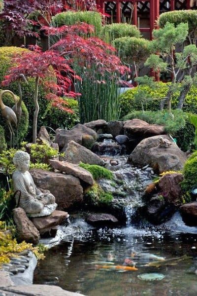 Backyard Pond Ideas