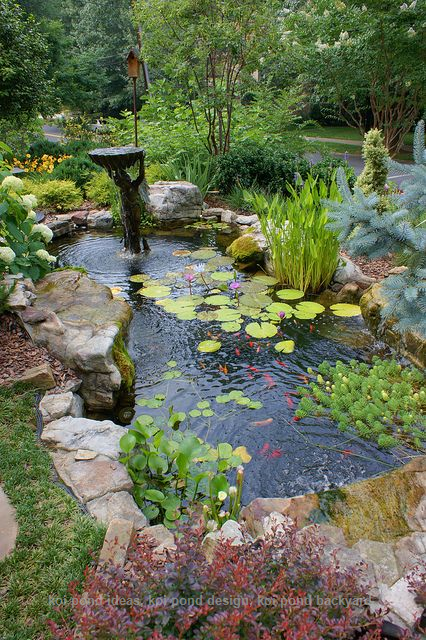 Backyard Pond Ideas Transform Your Outdoor Space with Stunning Pond Designs