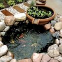 Backyard Pond Ideas