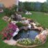 Backyard Pond Ideas