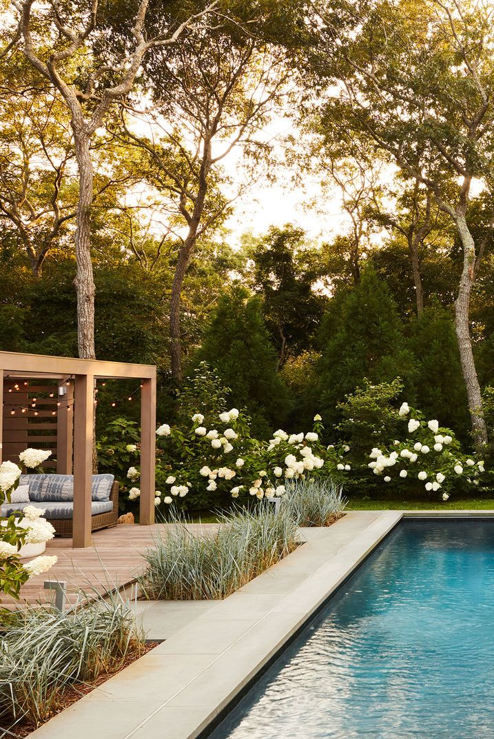 Backyard Pool Ideas for Summer Bliss