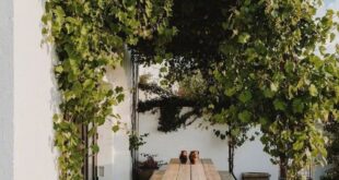 Backyard Shade Ideas