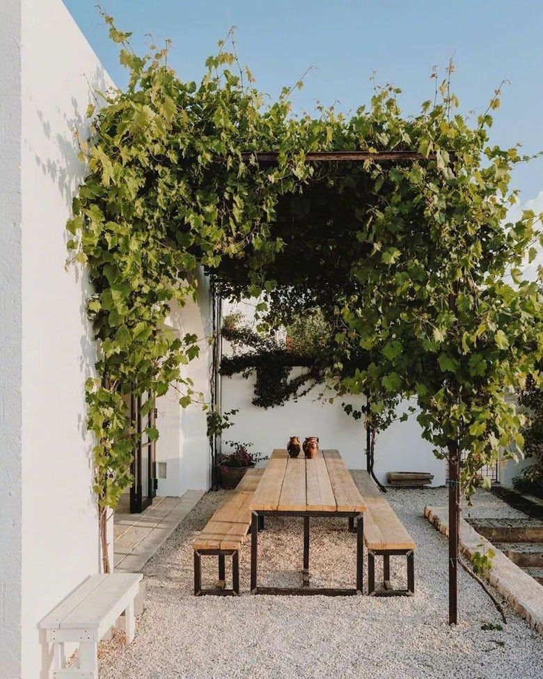 Backyard Shade Ideas Create Your Own Outdoor Oasis with These Creative Shade Solutions