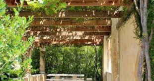 Backyard Shade Ideas