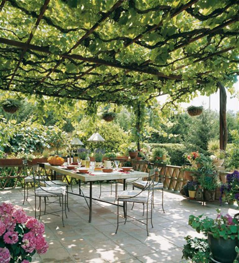 Backyard Shade Ideas for a Cool and Comfortable Outdoor Space