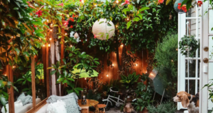 Backyard String Lights