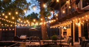 Backyard String Lights