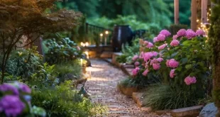 Backyard String Lights