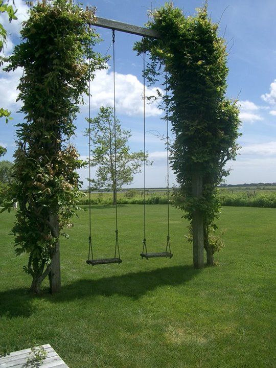 Backyard Swing Create a Fun and Relaxing Outdoor Experience with a Swing in Your Yard