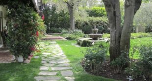 Backyard Walkway