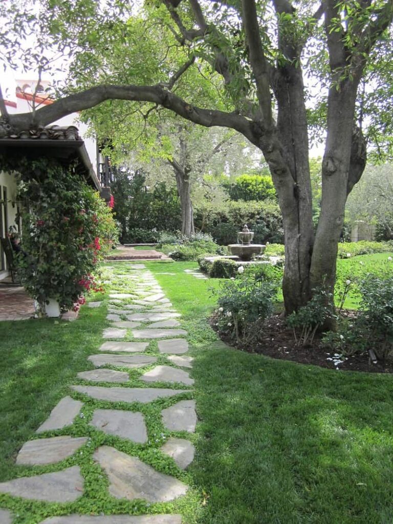 Backyard Walkway