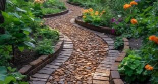 Backyard Walkway