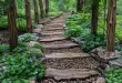 Backyard Walkway