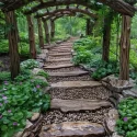 Backyard Walkway