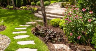 Backyard Walkway