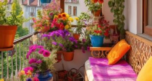 Balcony Flowers