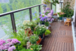 Balcony Flowers