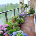 Balcony Flowers