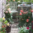 Balcony Flowers