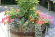 Barrel Planter Ideas